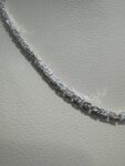 IMG-4106